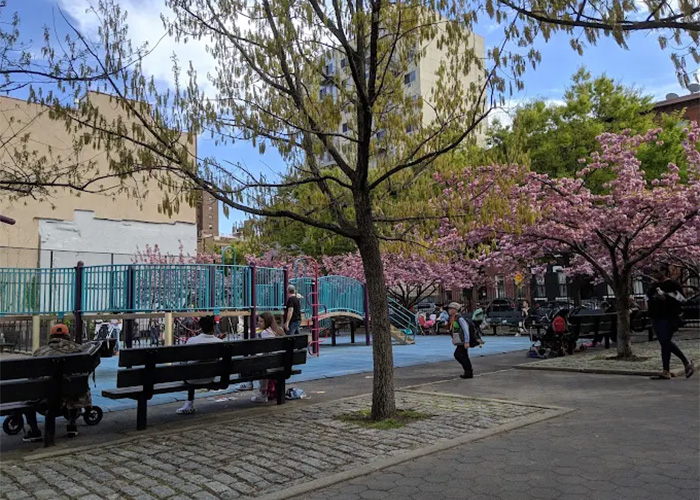 Boerum Park in Boerum Hill, Brooklyn, NY 11217, featuring green open spaces, playgrounds, and recreational areas for families and visitors.